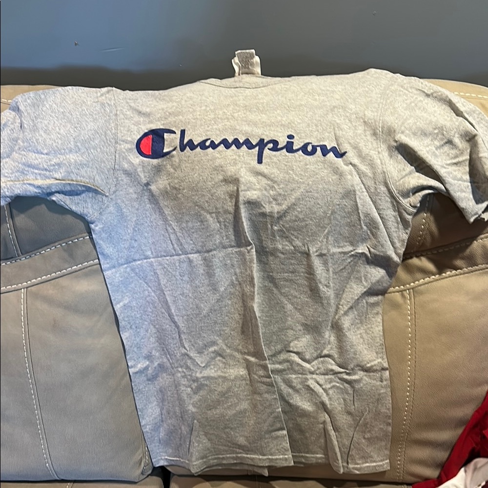 Champion Gray T-Shirt